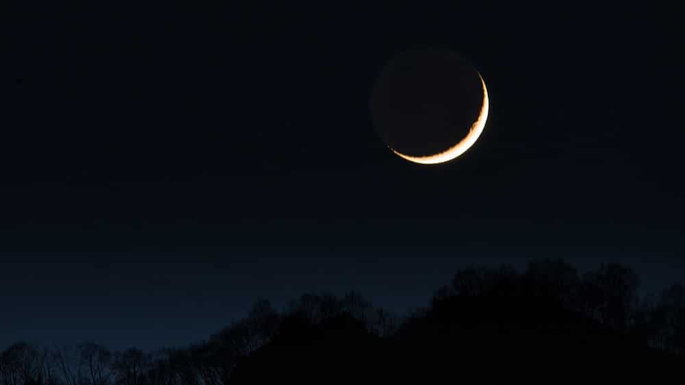 Waning Moon Phase Over a Dark Forest