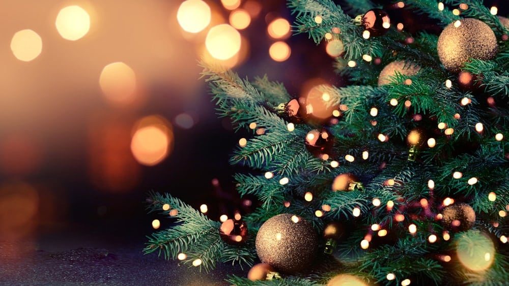 Wiccan Holidays - Yule