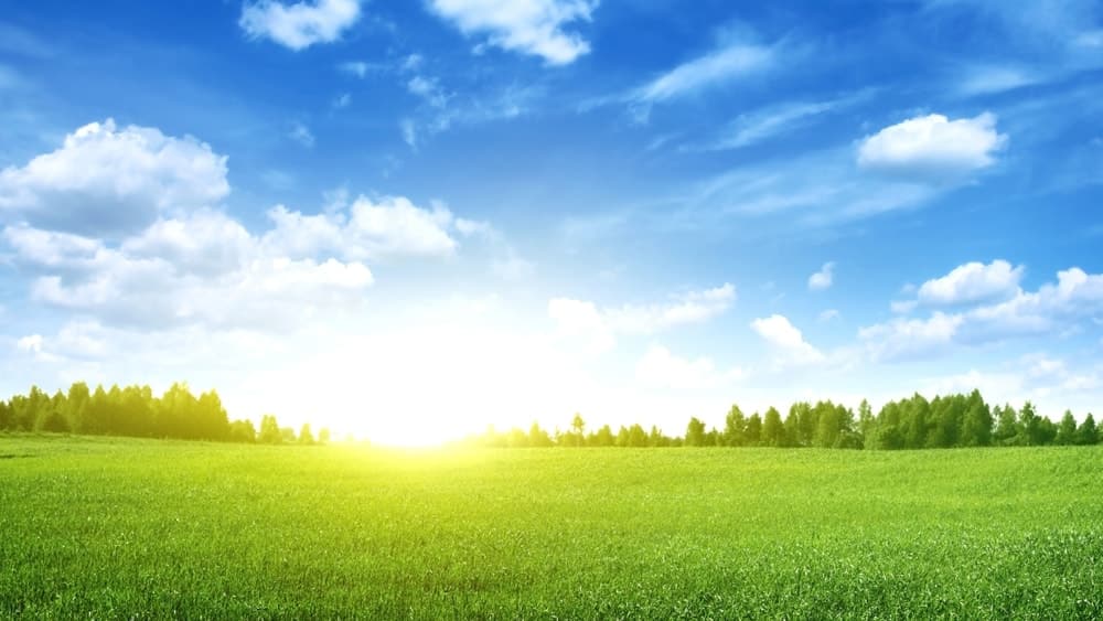 the sun rising over a gorgeous meadow
