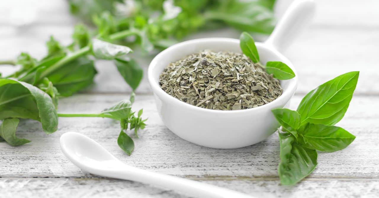 Basil Herb