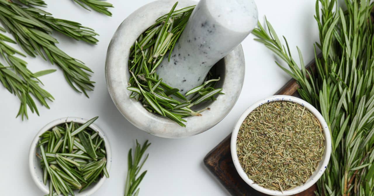 Rosemary Herb
