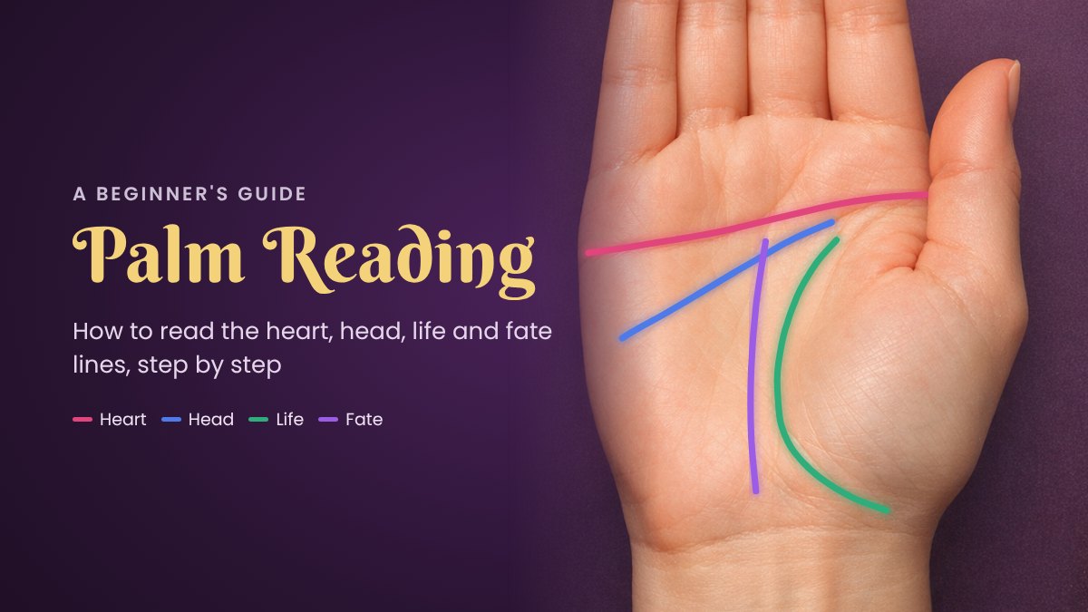 A palm with the heart, head, life and fate lines drawn in color