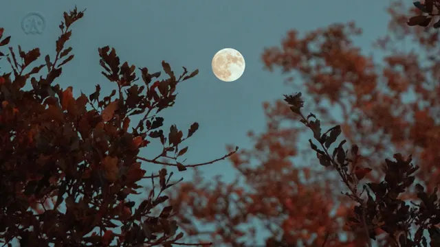 Full Moon