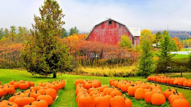 Pumpkin Farm