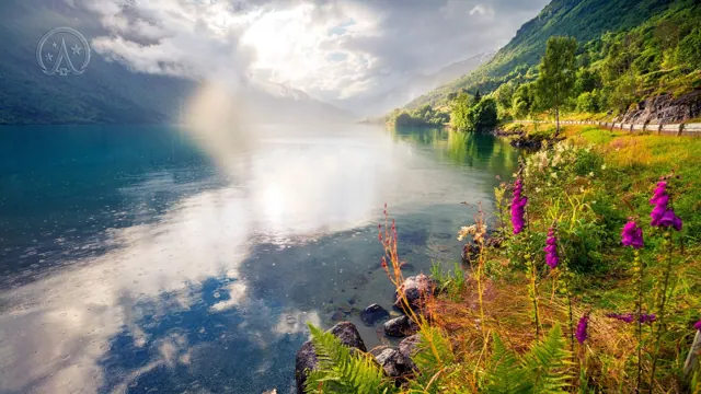 Shoreline