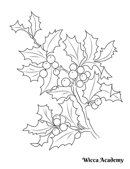 Holly Berries