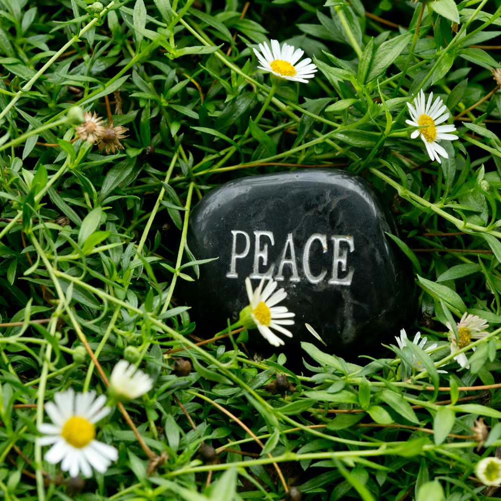 A black stone with the word "peace" engraved sitting in a cluster of daises