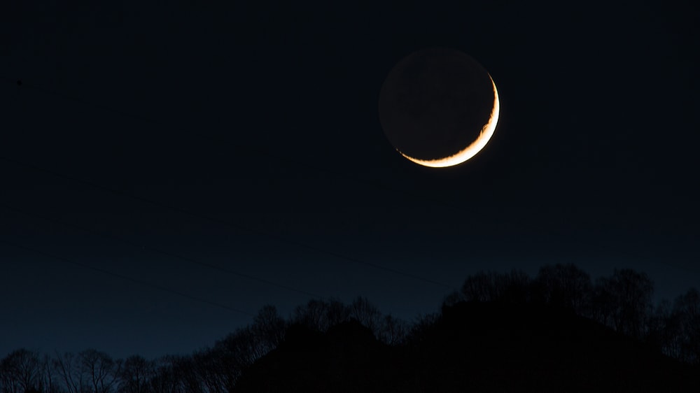 Waning Moon Phase Over a Dark Forest