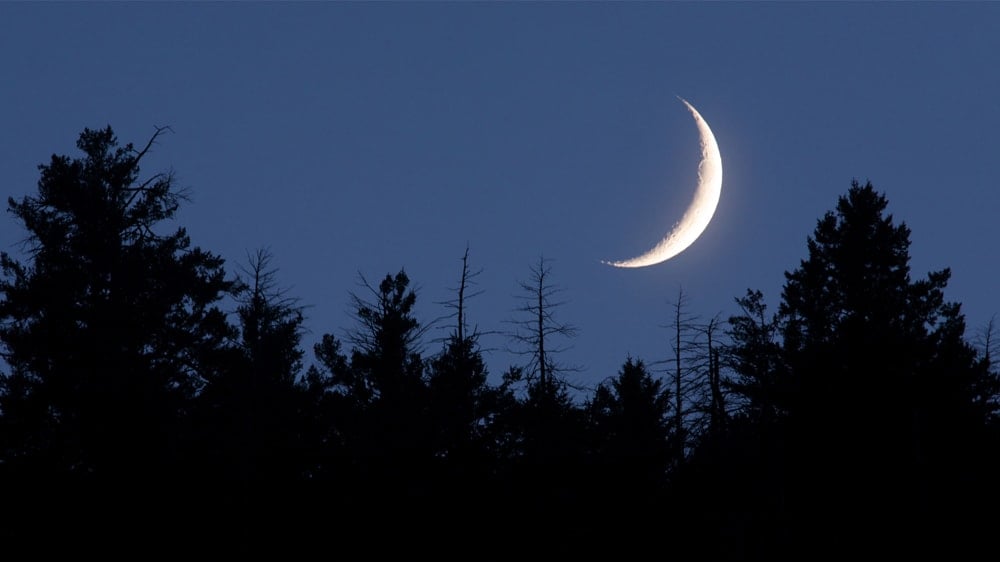 Waxing Moon Phase Over a Dark Forest