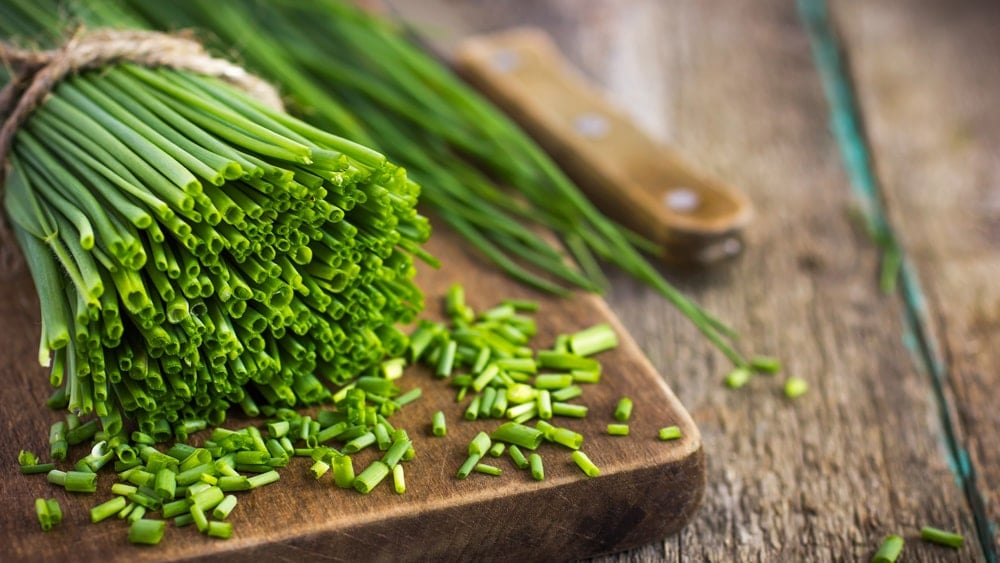 Sliced fresh chives beside a bundle of fresh chives tied with twine