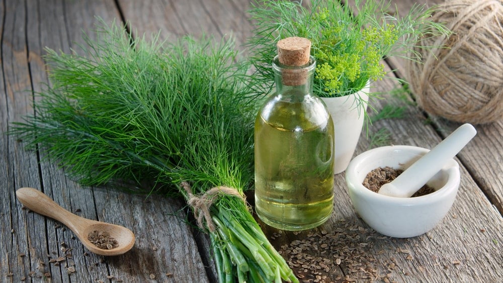 A bundle of fresh dill tied with twine beside a bottle of dill water and a mortar and pestle filled with dill seed
