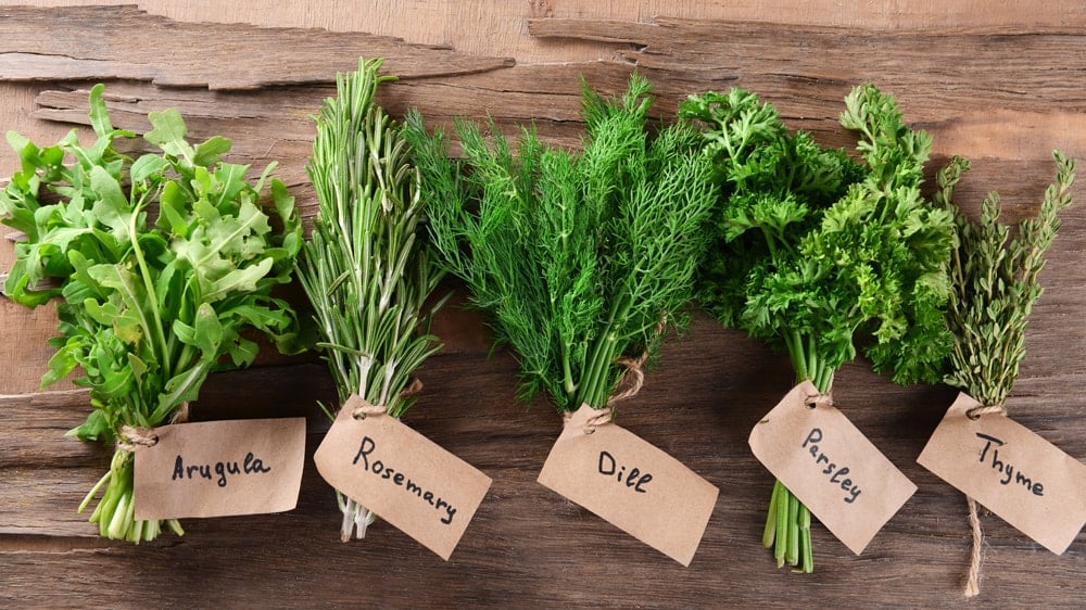 bundles of arugula, rosemary, dill, parsley, and thyme