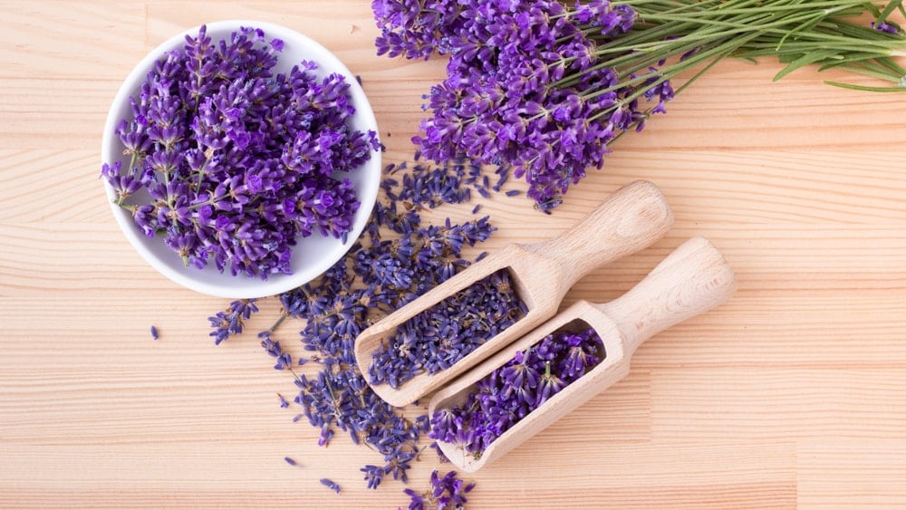 A bowl of lavender flowers beside two scoops of lavender flowers and fresh sprigs of lavender