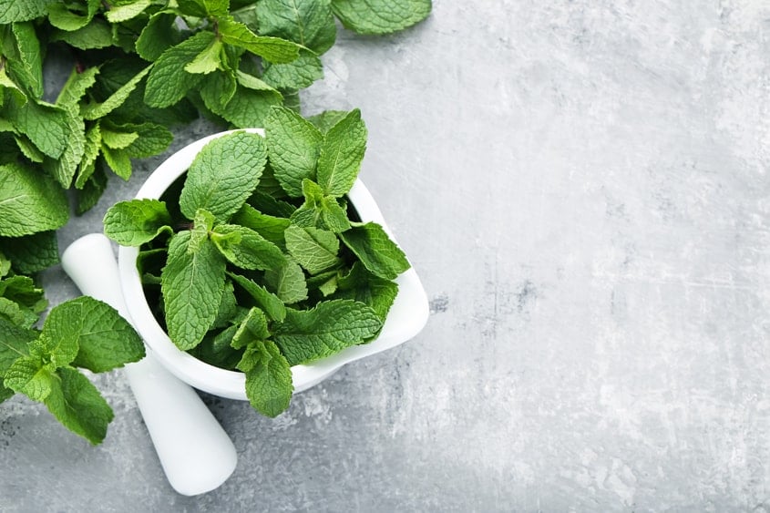 A ceramic mortar and pestle filled with fresh mint