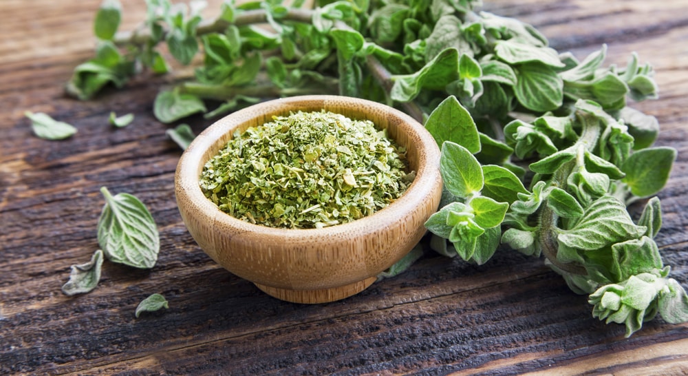 A wooden bowl of dried oregano next to a sprig of fresh oregano