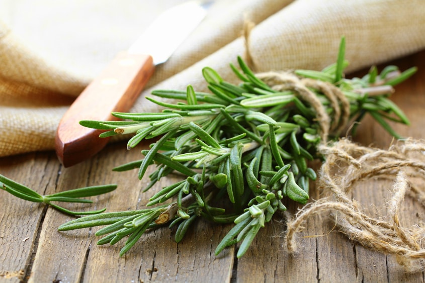 A bundle of fresh rosemary tied with twine