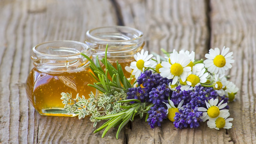 Lavender, chamomile, rosemary, and thyme with two jars of honey