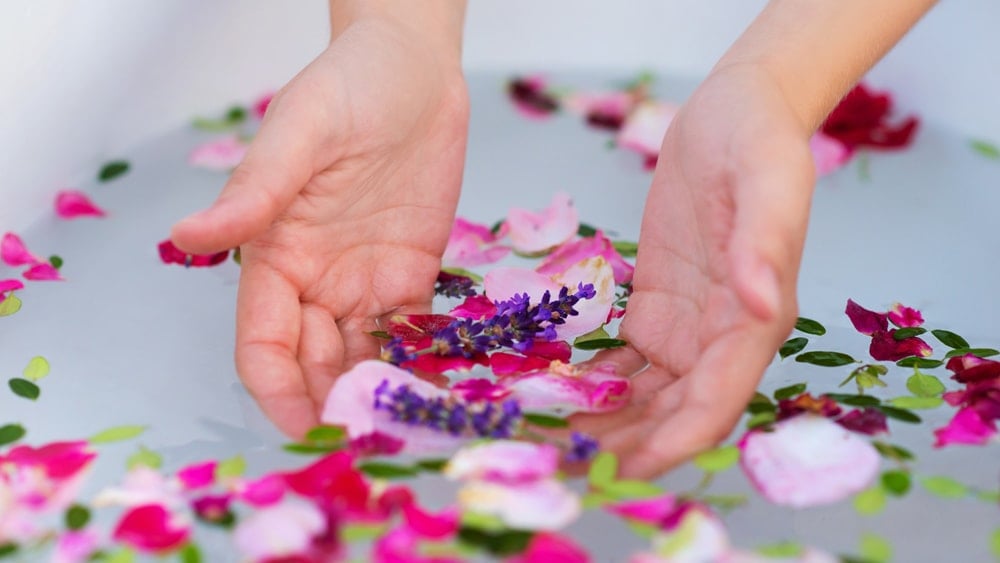 A person dipping their hands into a bath filled with lavender and rose petals