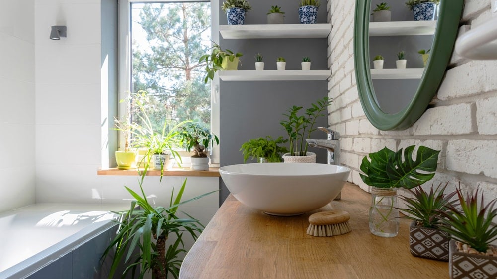 A clean bathroom filled with plants