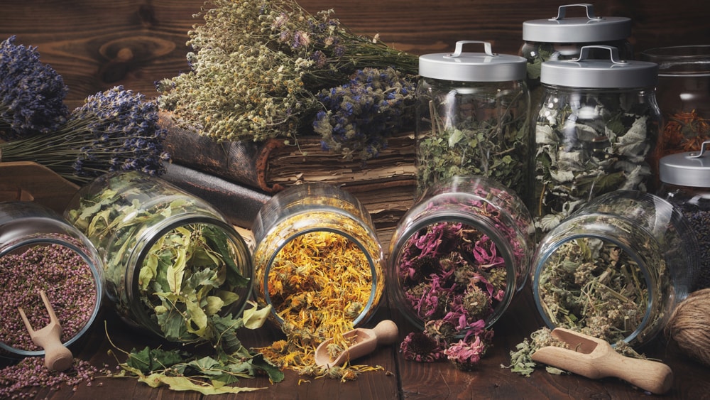 Jars filled with dried herbs and dried flowers