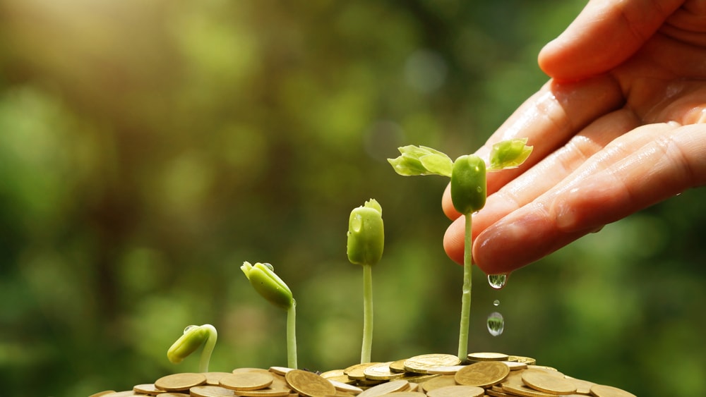 A person watering plants that are growing out of a pile of gold coins