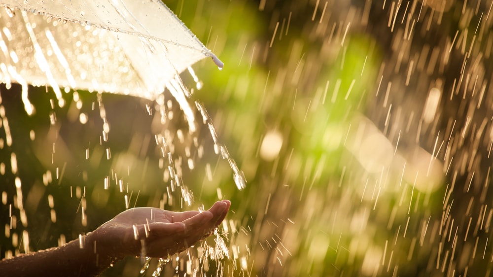 A hand held out to catch the rain