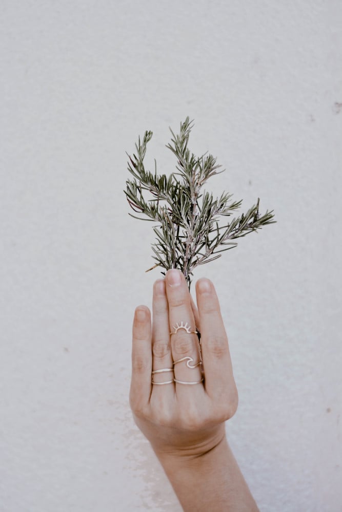 a woman holding a sprig of rosemary