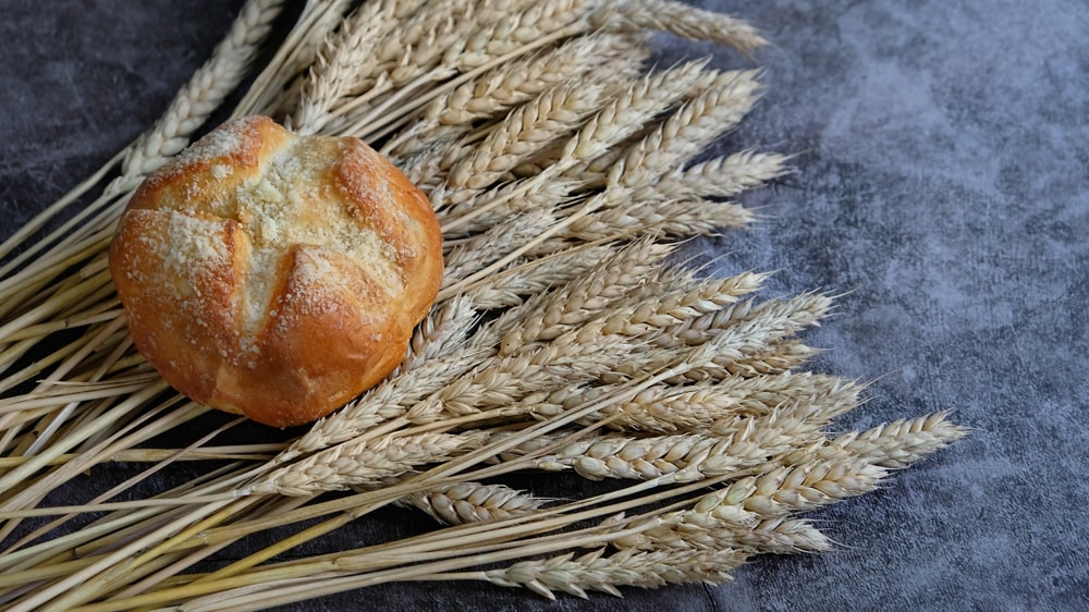 A bundle of wheat