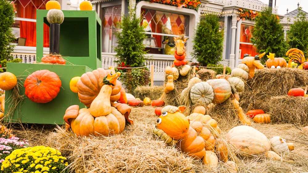 A harvest festival with a variety of pumpkins