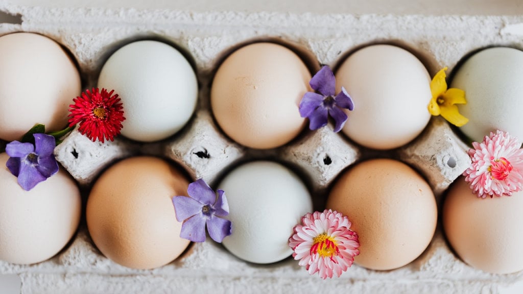 A carton of eggs with spring flowers added in