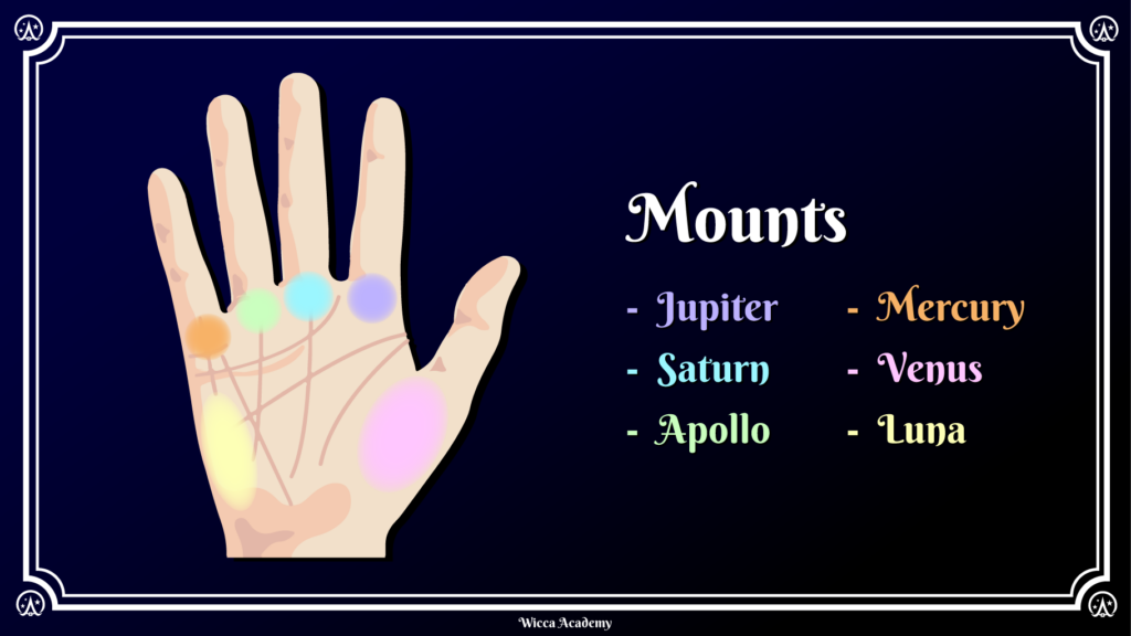 Guide to reading the mounts of the palm