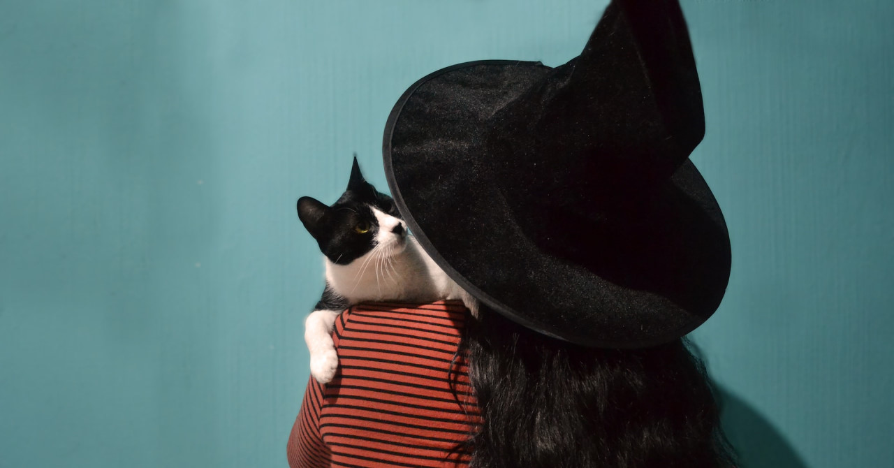 A witch holding a cat over her shoulder