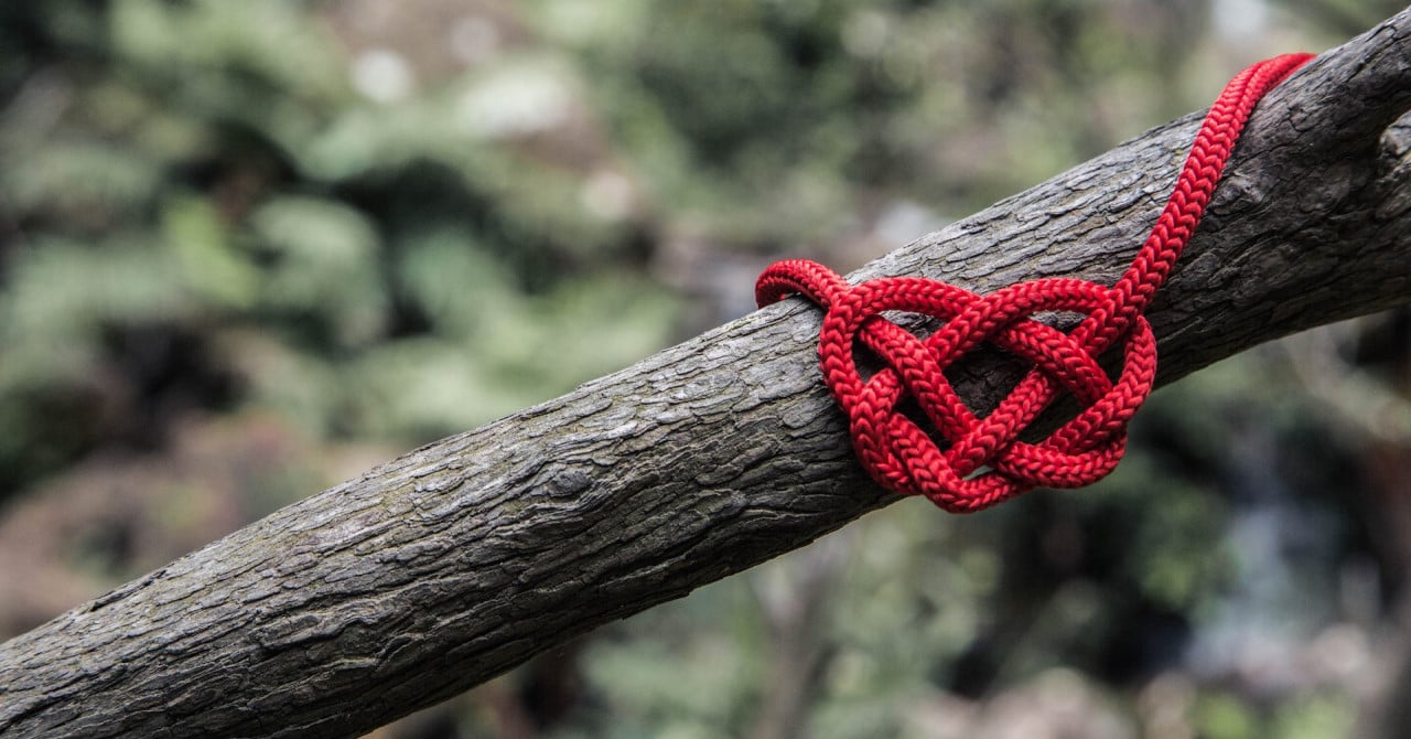 a heart shaped knot draped over a tree branch