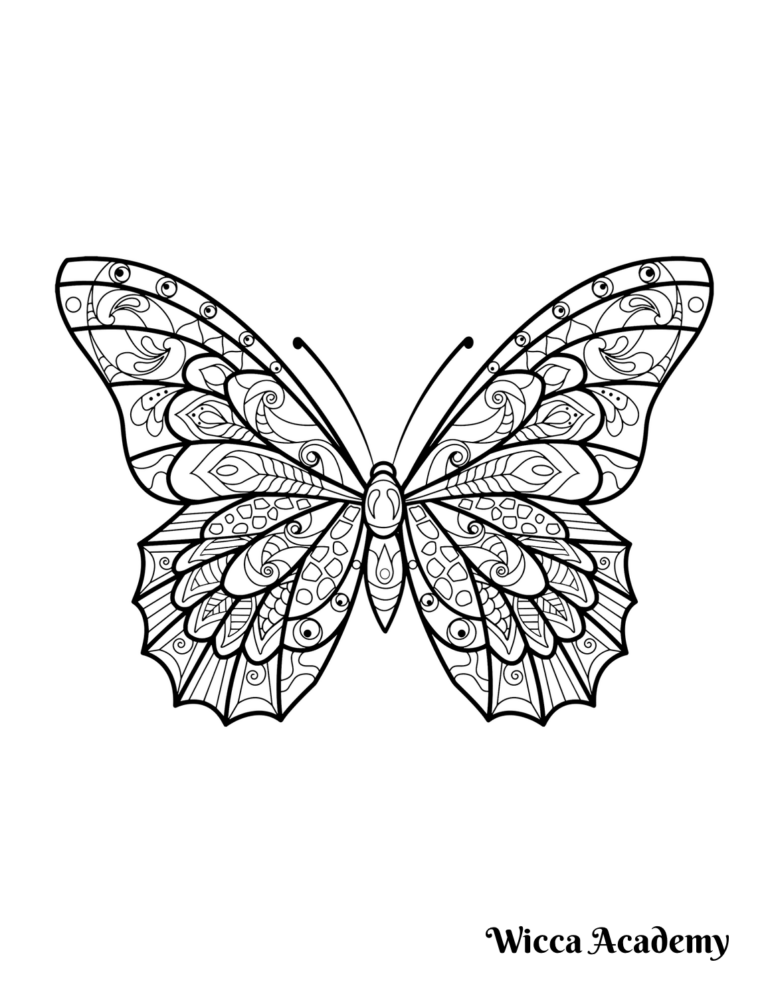 Zentangle Butterfly Coloring Page