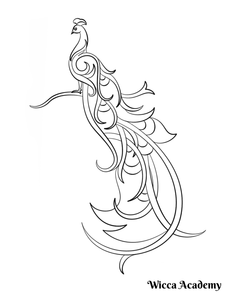 Abstract Peacock Coloring Page