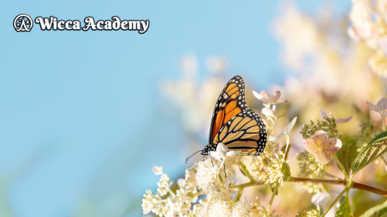 Wicca Academy Butterfly Desktop Background