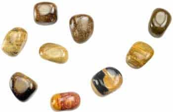 1-lb-petrified-wood-tumbled-stones